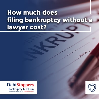 Can I File Bankruptcy Without A Lawyer? - image 1