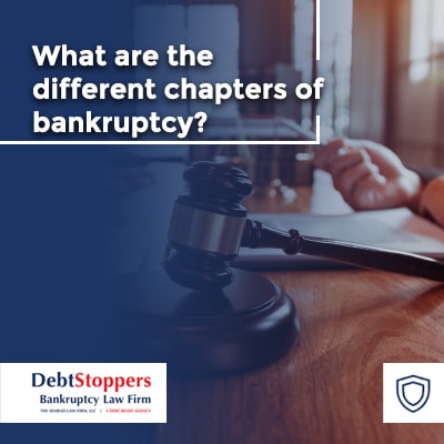 Different Bankruptcy Chapters Explained - image 1